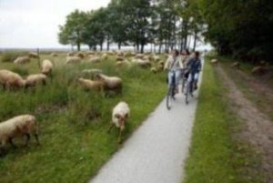 Lees meer over het artikel Drenthe fiets provincie