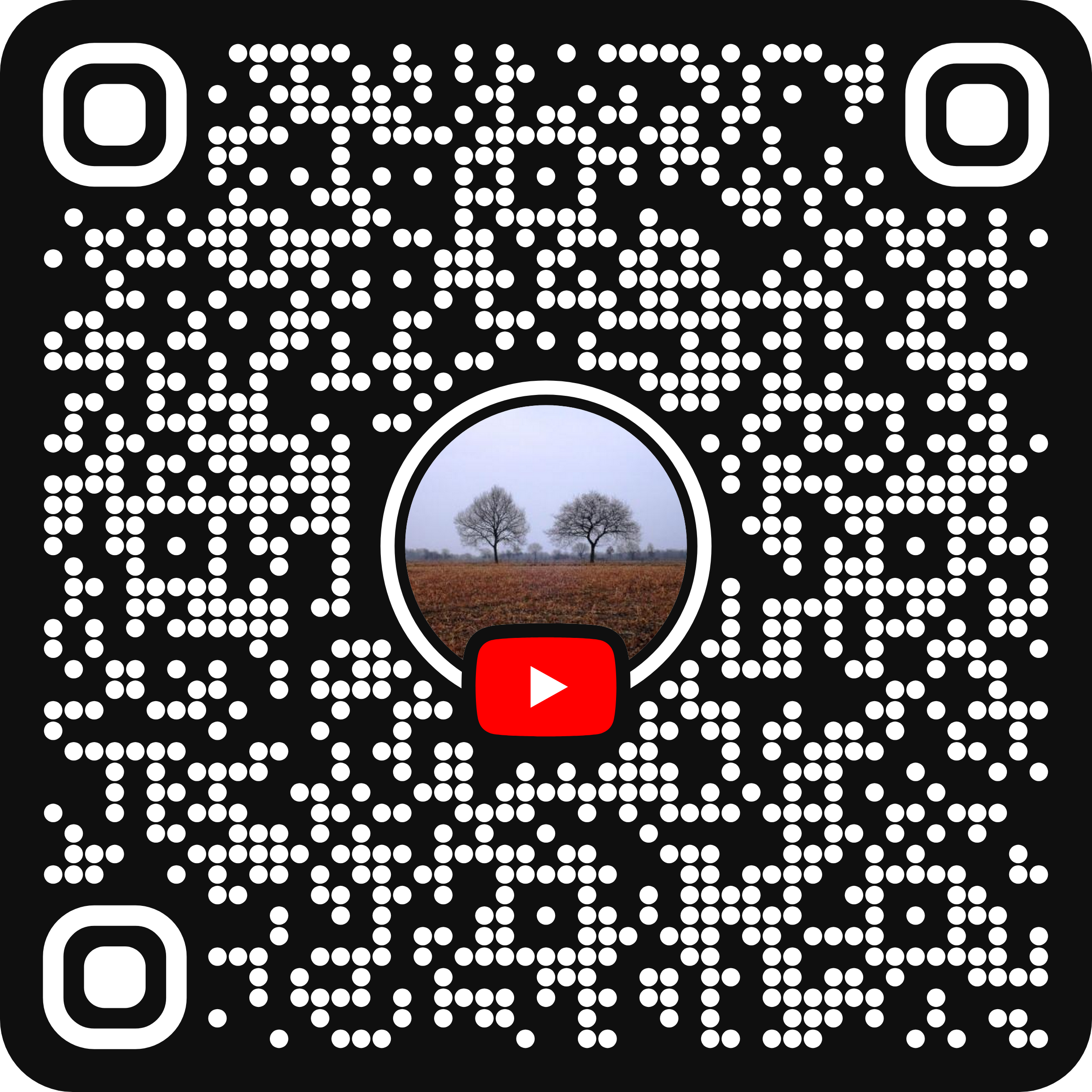 Lees meer over het artikel Video over Drenthe
